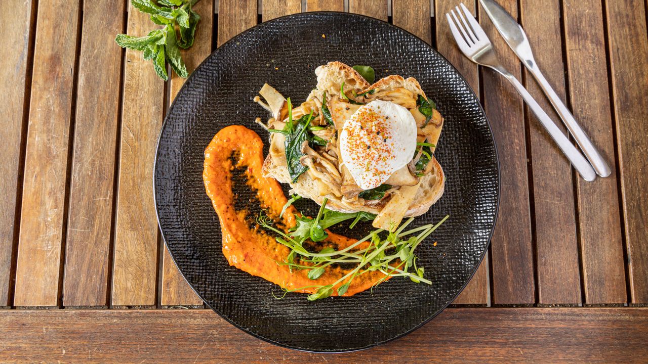 Miso Trio Mushroom