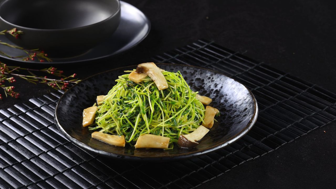 Bean Sprouts & Oyster Mushroom