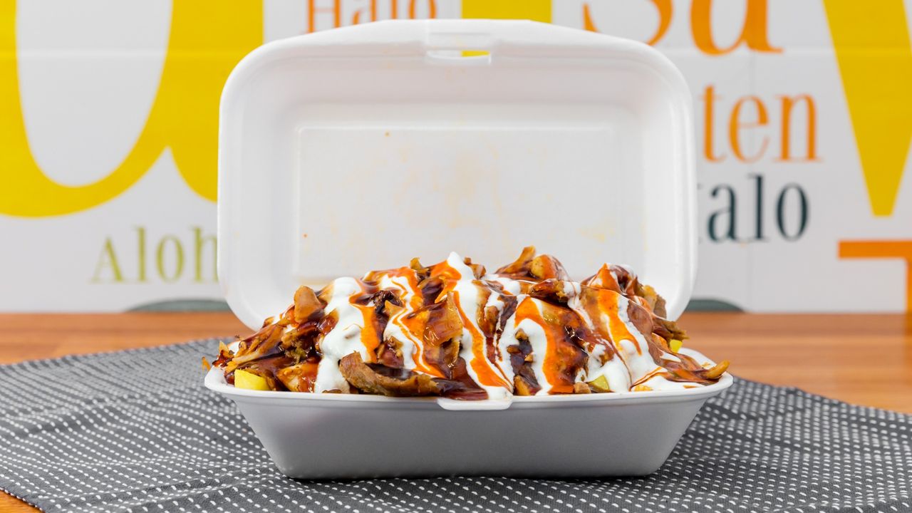 LARGE HSP WITH RICE
