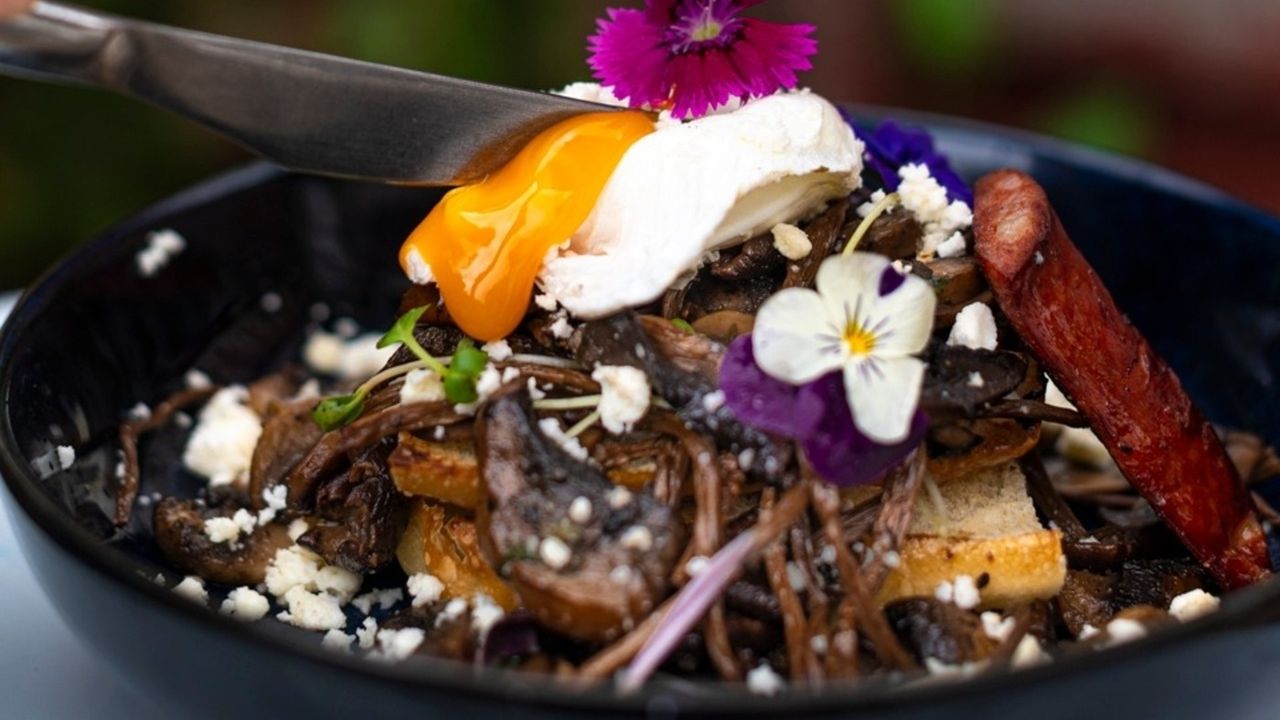 Wild Mushroom Medley