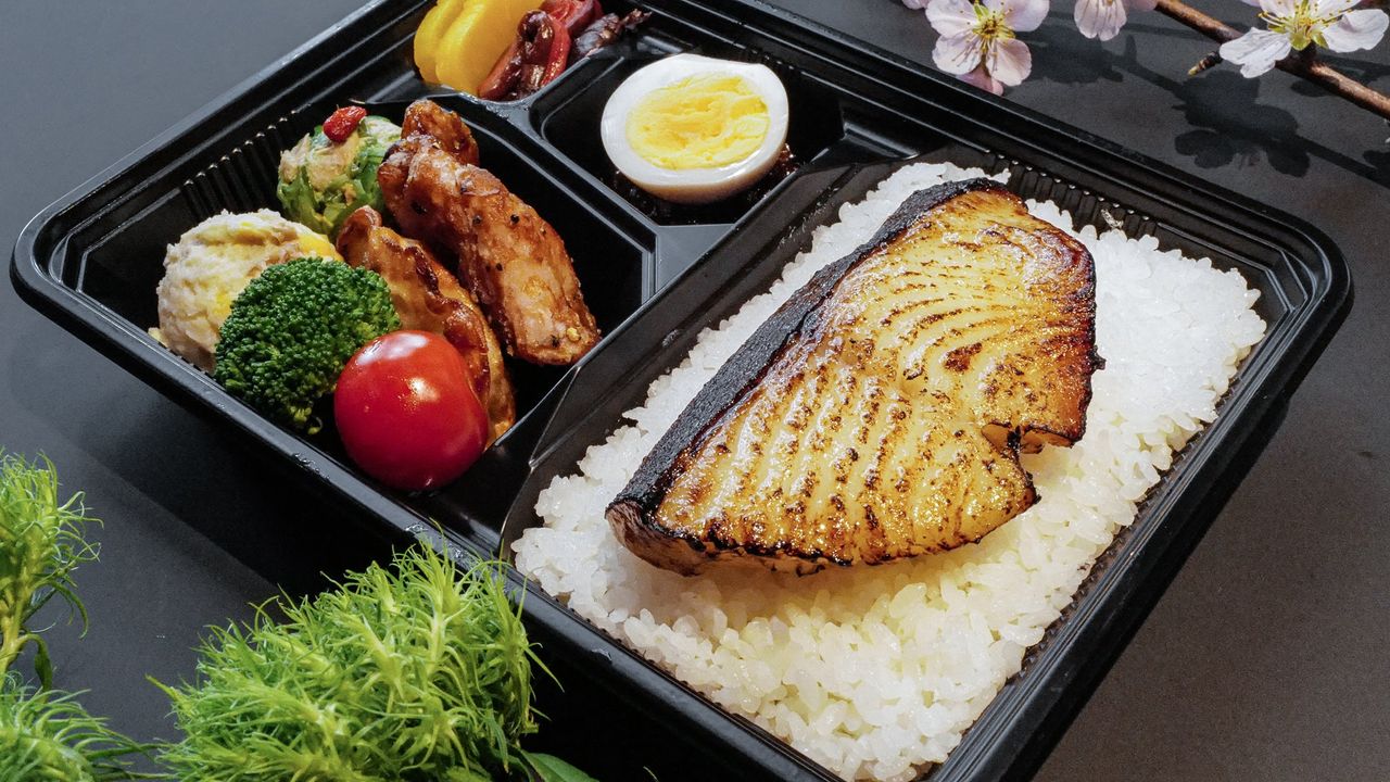Black Cod Saikyo Yaki Bento