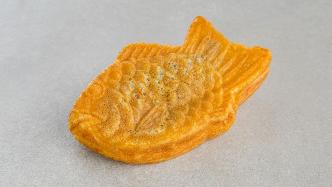 Y02. TAIYAKI