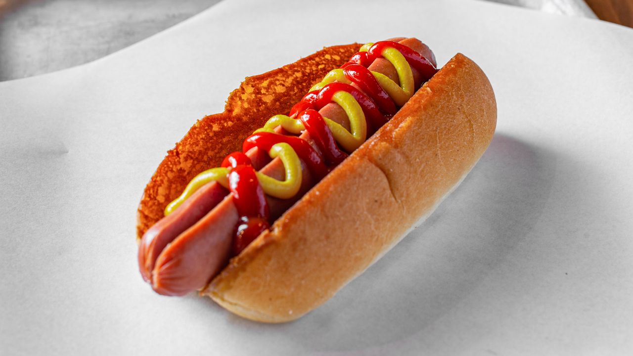 Plain Dog