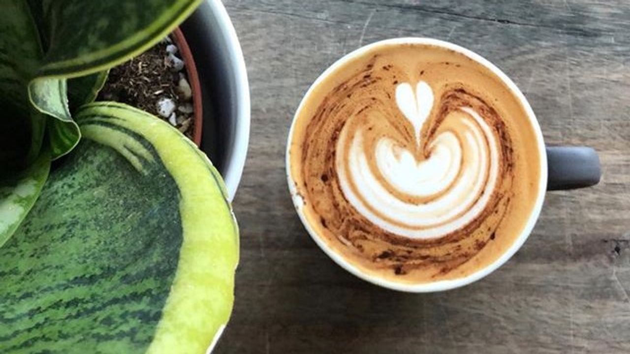 Cappuccino