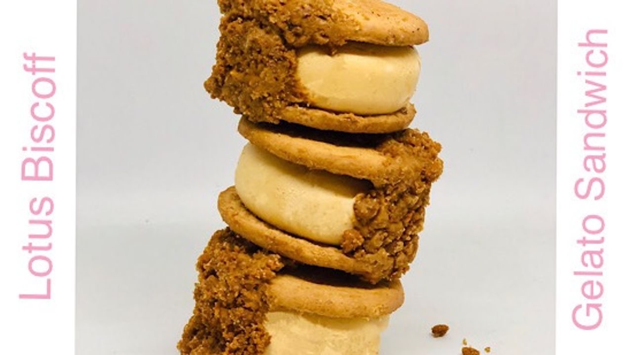 Lotus Biscoff Gelato Cookie Sandwich