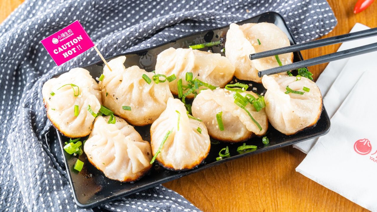 Pan Fried Chicken and Prawn Dumplings