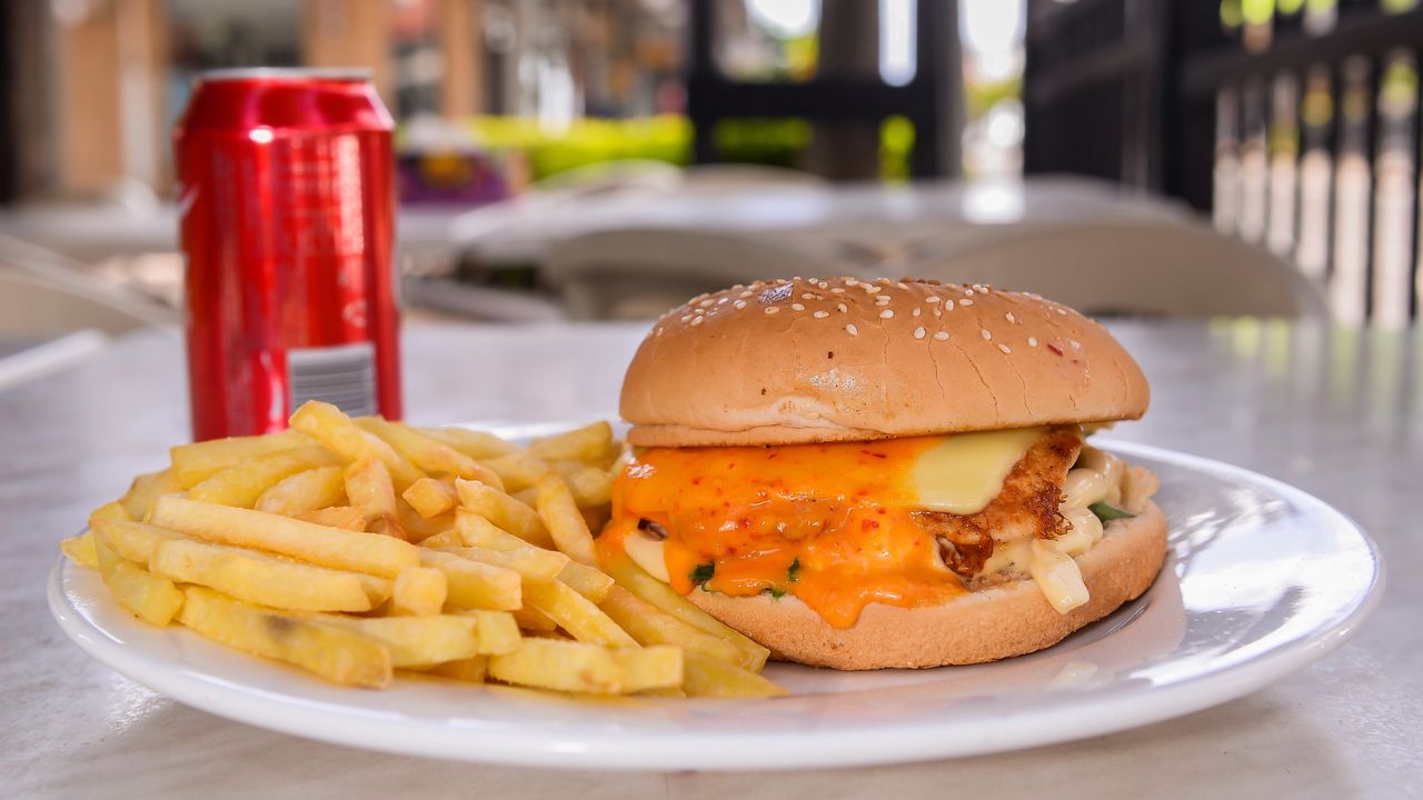Portuquese Style Chicken burger combo
