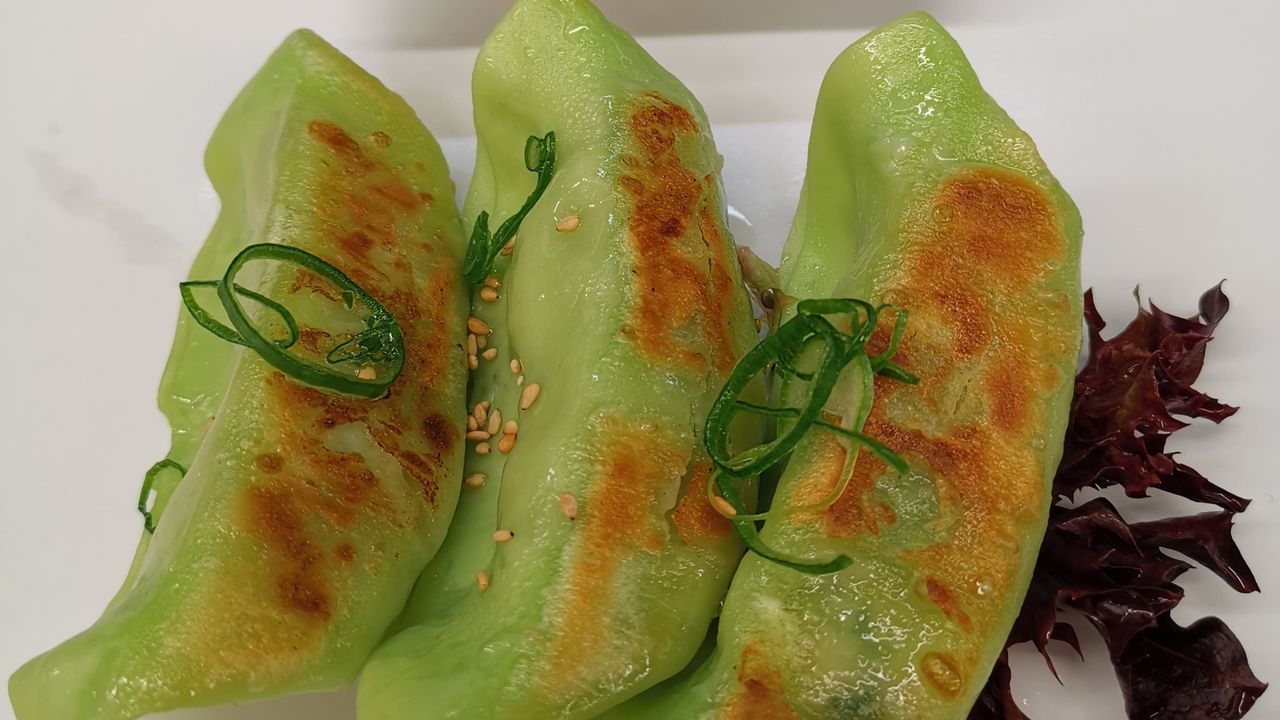 K17. VEGETARIAN GYOZA 6PCS - PAN FRIED