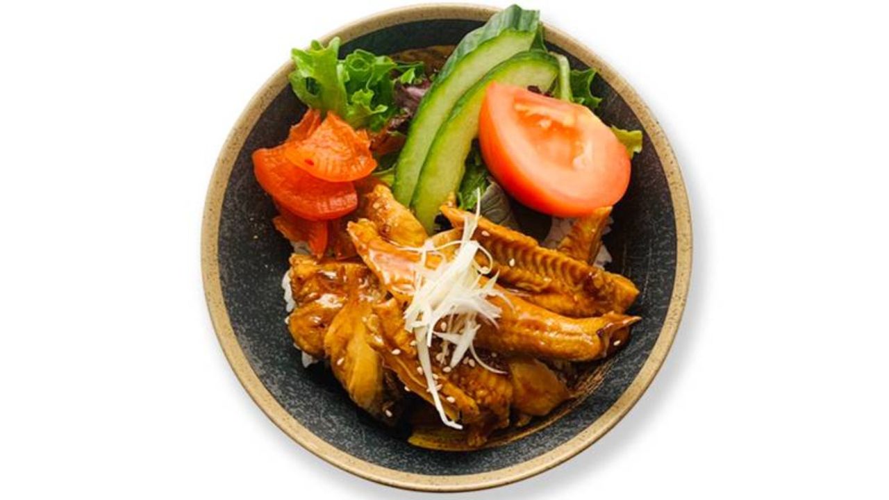 BBQ Eel Rice Bowl