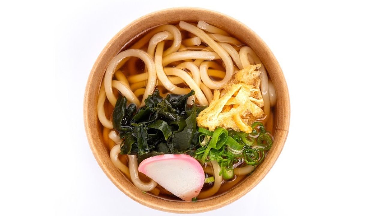 Plain Udon (L)