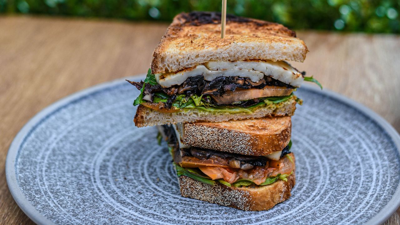 Vegetarian Sandwich