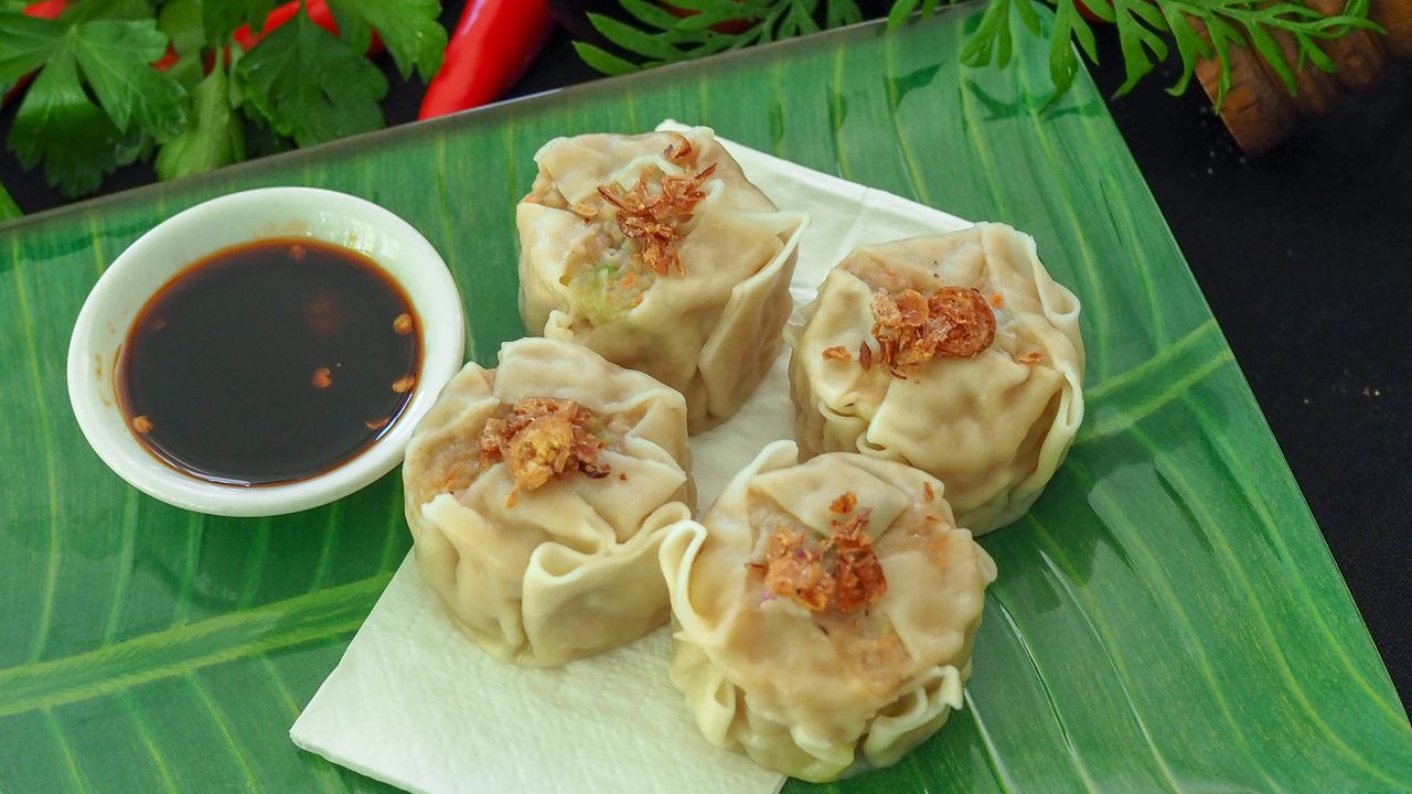 Chicken Dumplings (4)