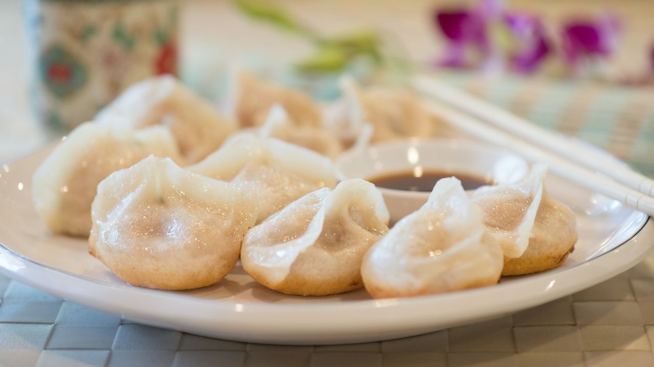Pork Pan Fried Dumplings