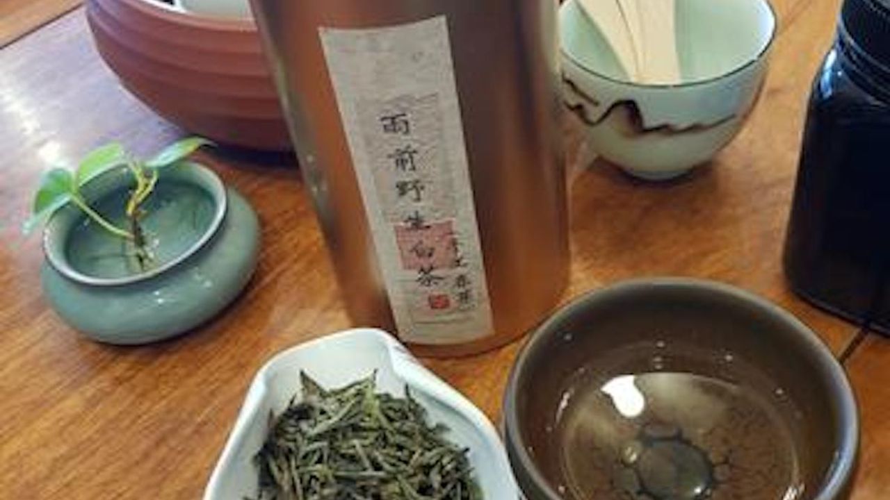White Tea Rare Collection