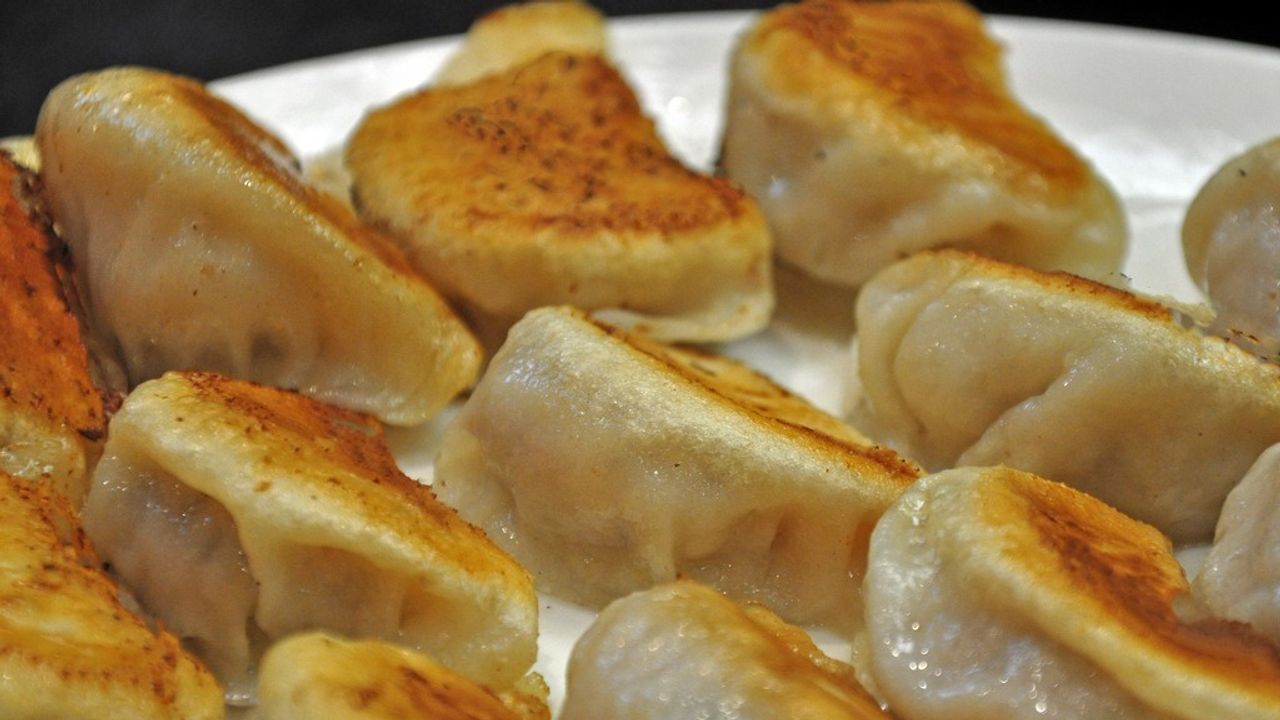 303. Pork Cabbage Fried Dumplings (12)