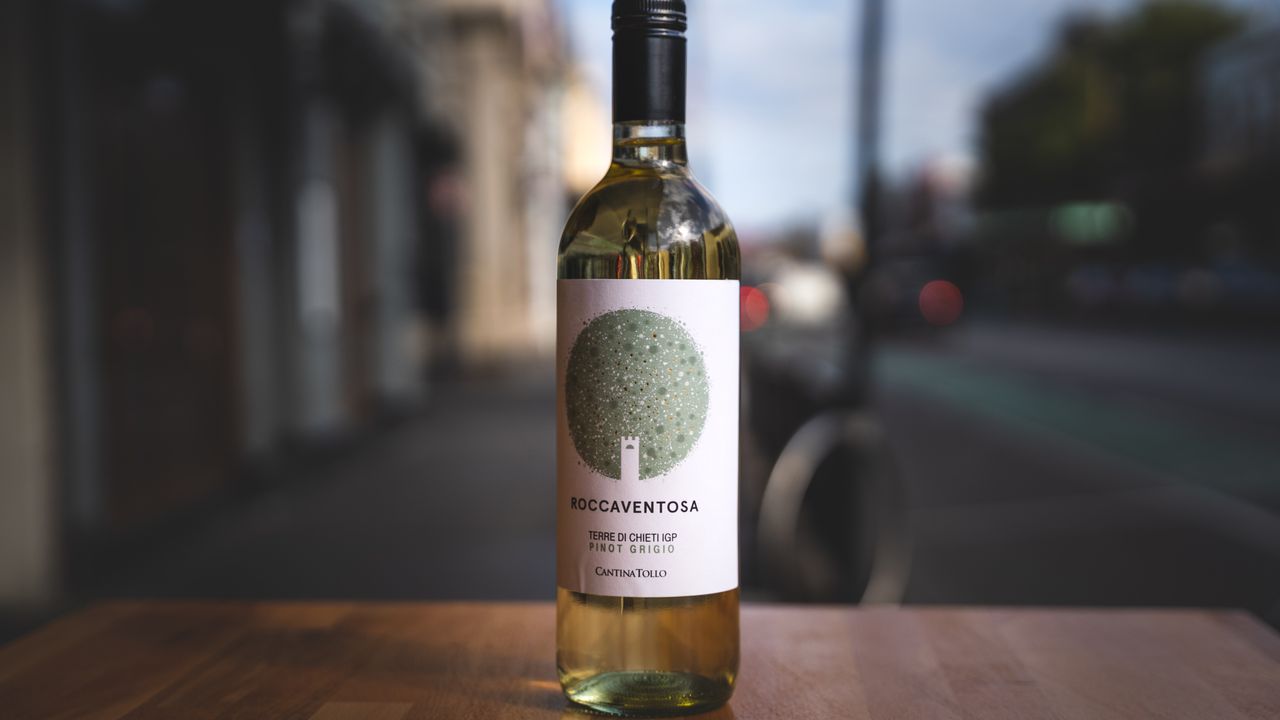 Cantina Tollo Pinot Grigio