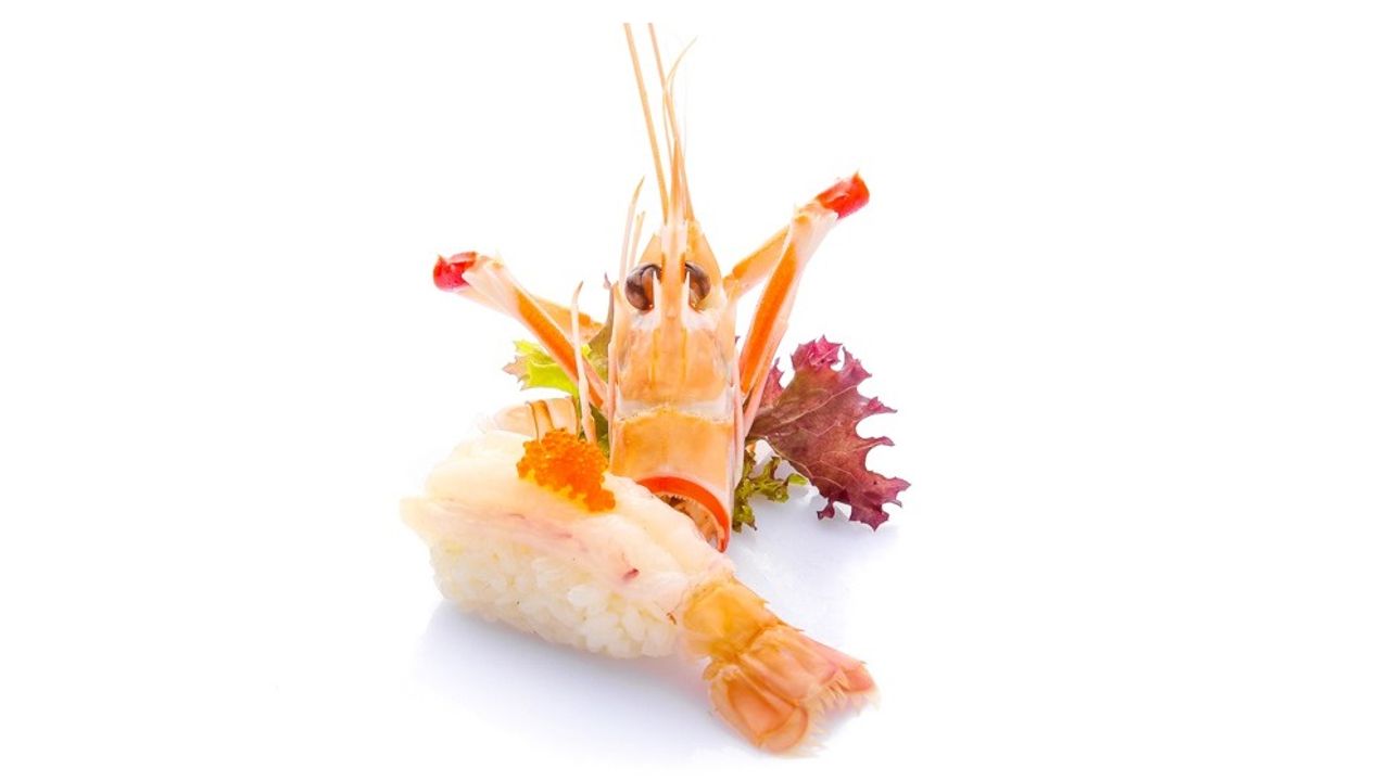 Fresh Scampi Nigiri (gf)