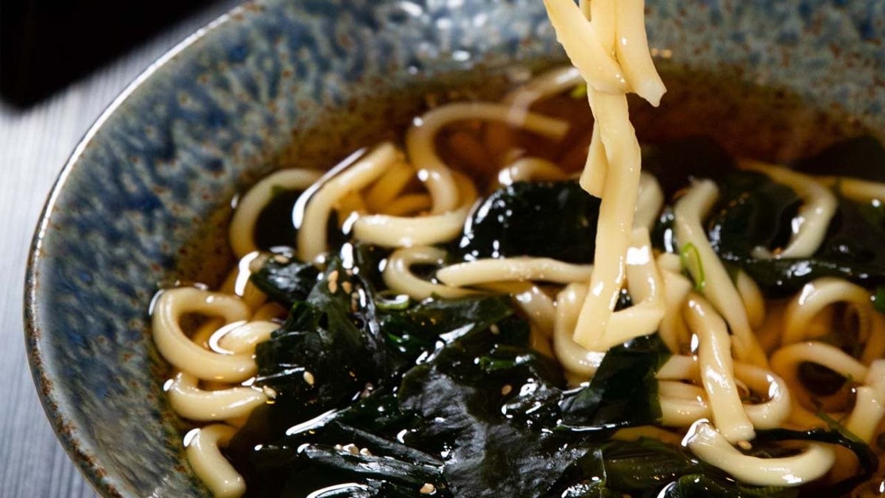 Hot Udon