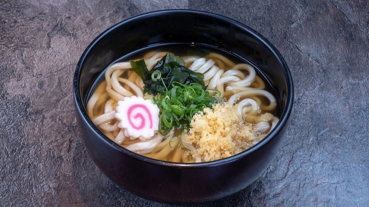 Tanuki Udon