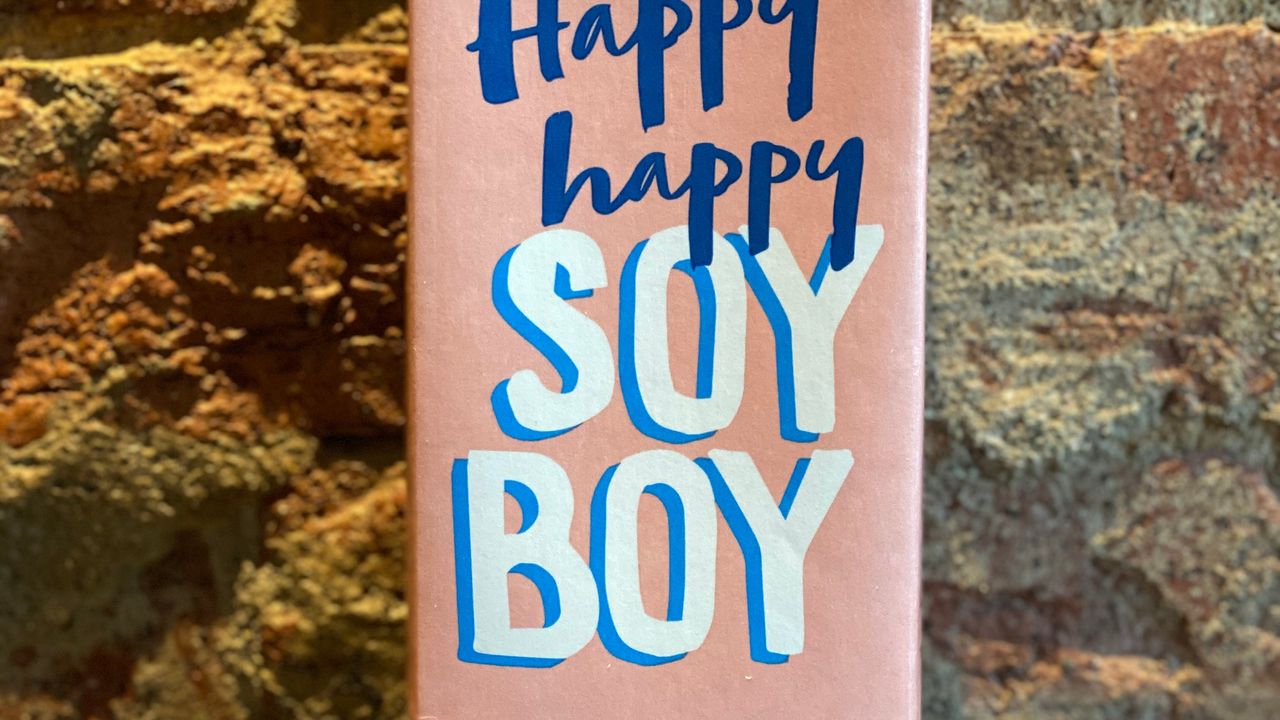 Soy Milk (Happy Happy Soy Boy)