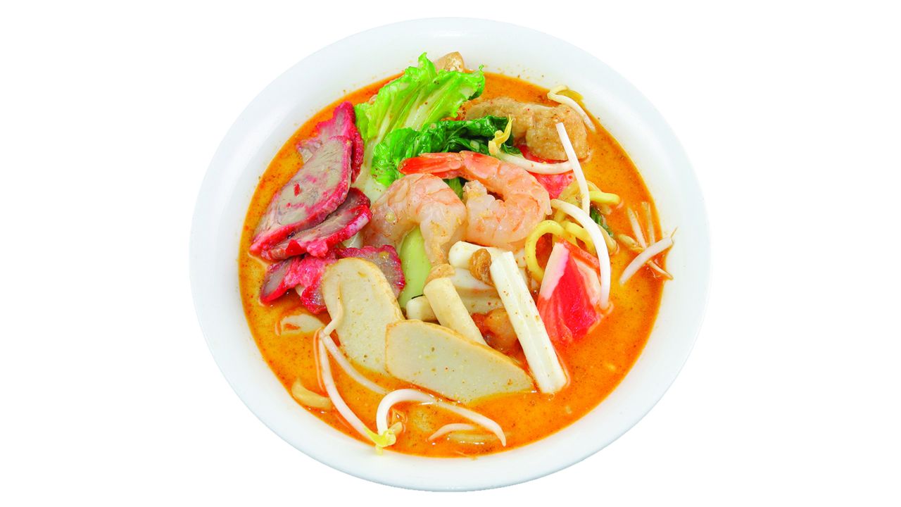 Malaysia Curry Laksa Soup