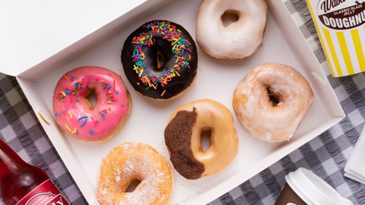 [6 Pack] Rings