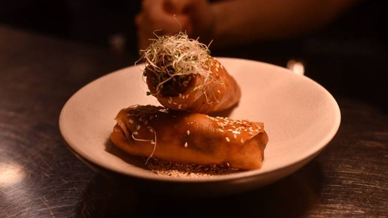 Duck Yeah Spring Rolls
