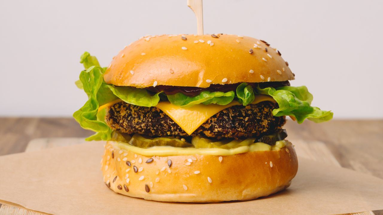 PLANT-BASED VEGAN BURGER