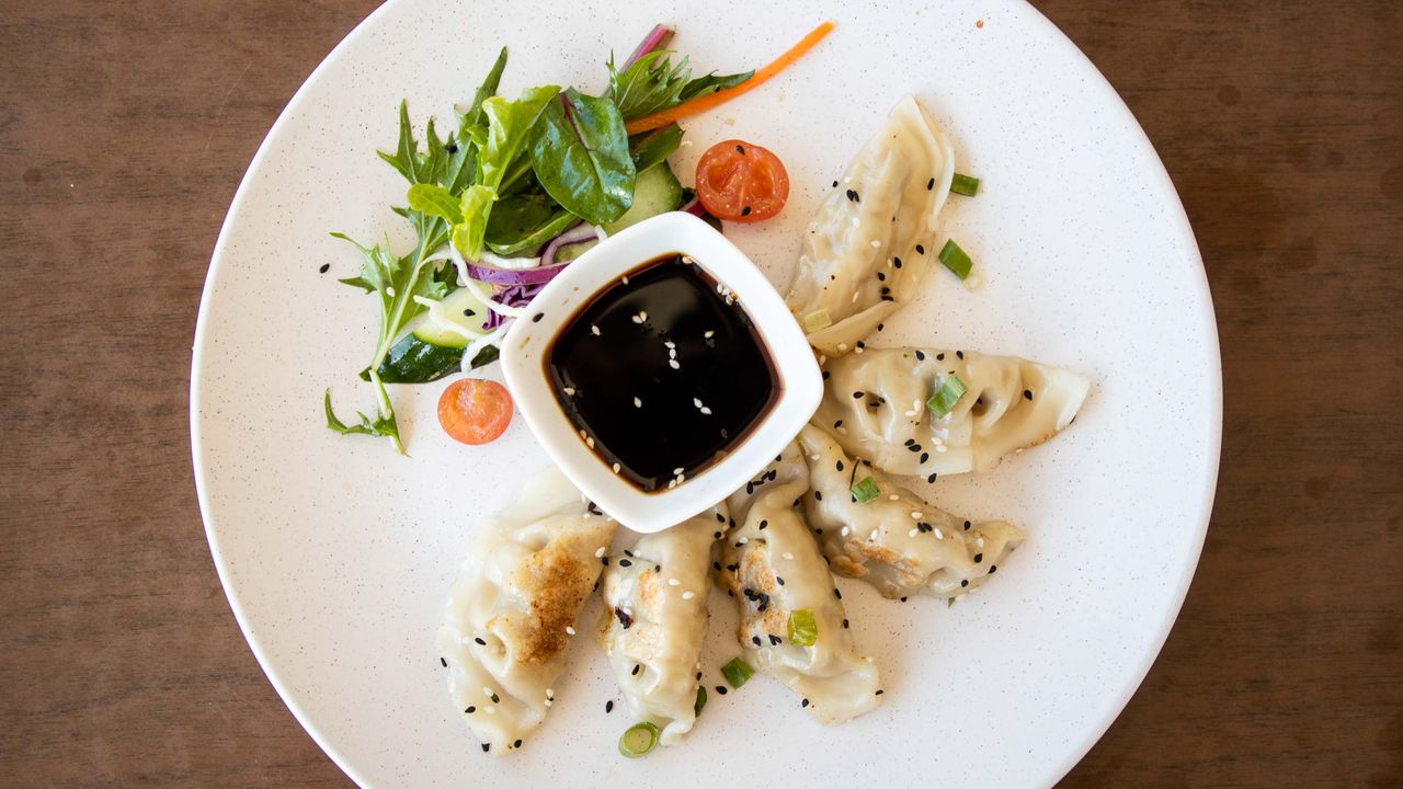 Japanese Gyoza
