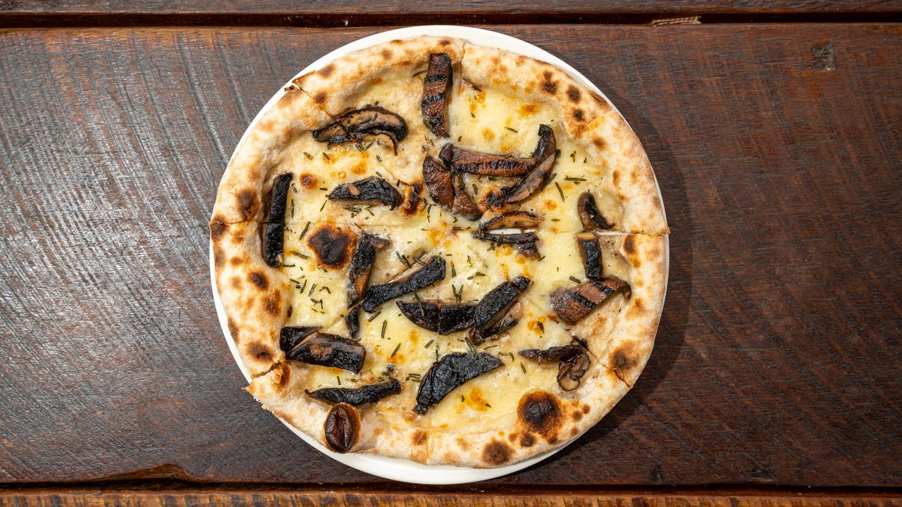 Funghi (V)