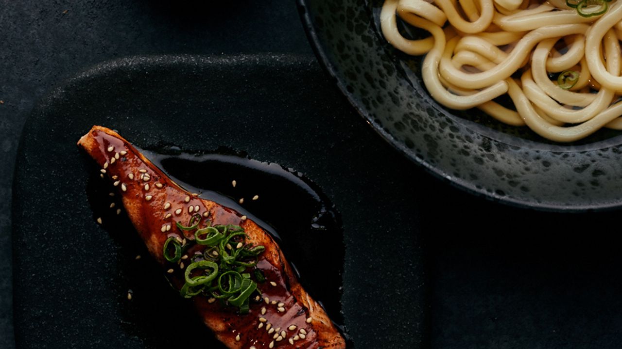 Aburi Salmon Udon