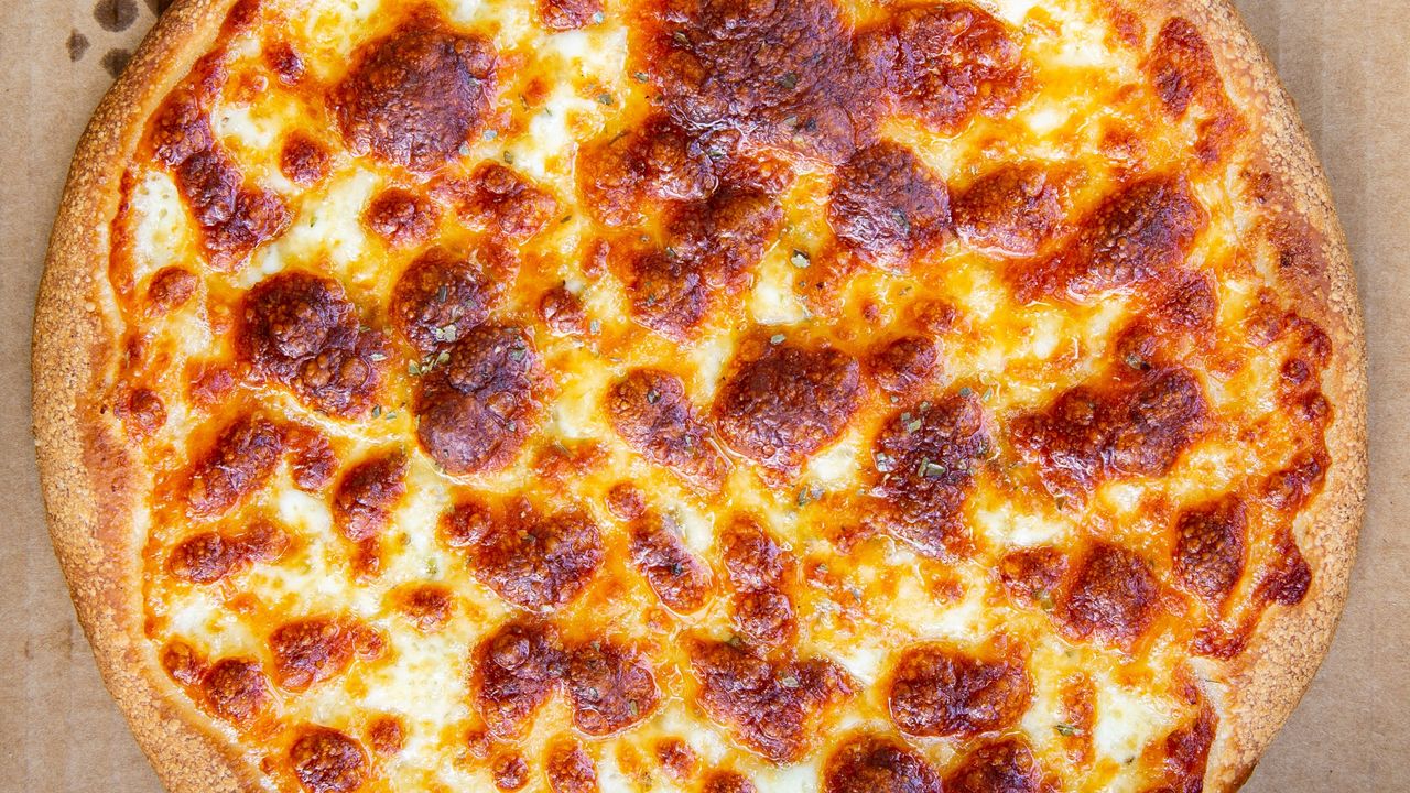 Cheese and Garlic Pizza