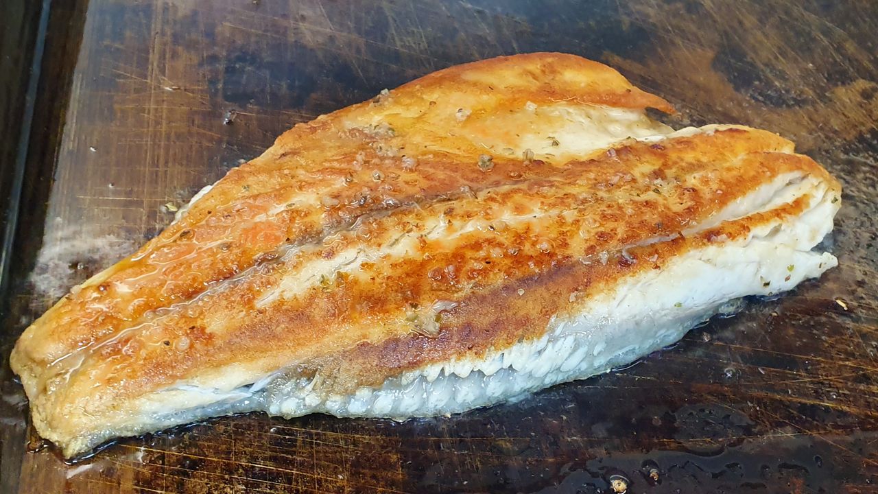 Barramundi
