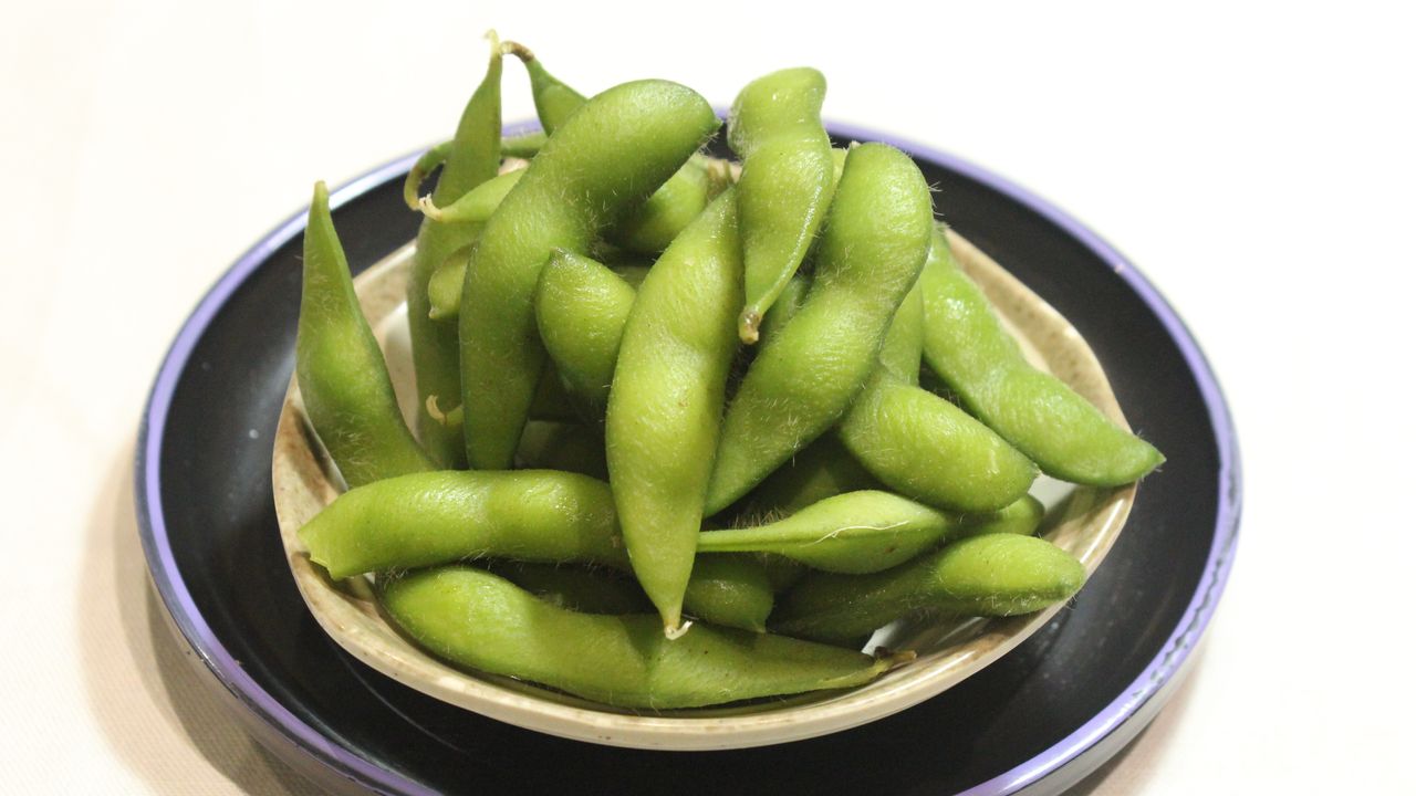 Soy Bean