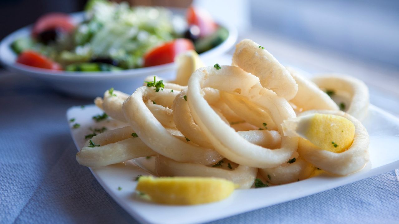 Fried Calamari