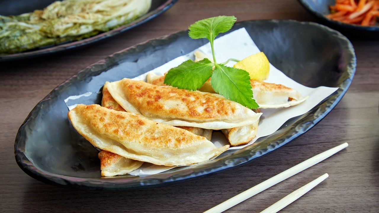 Pan Fried Dumplings