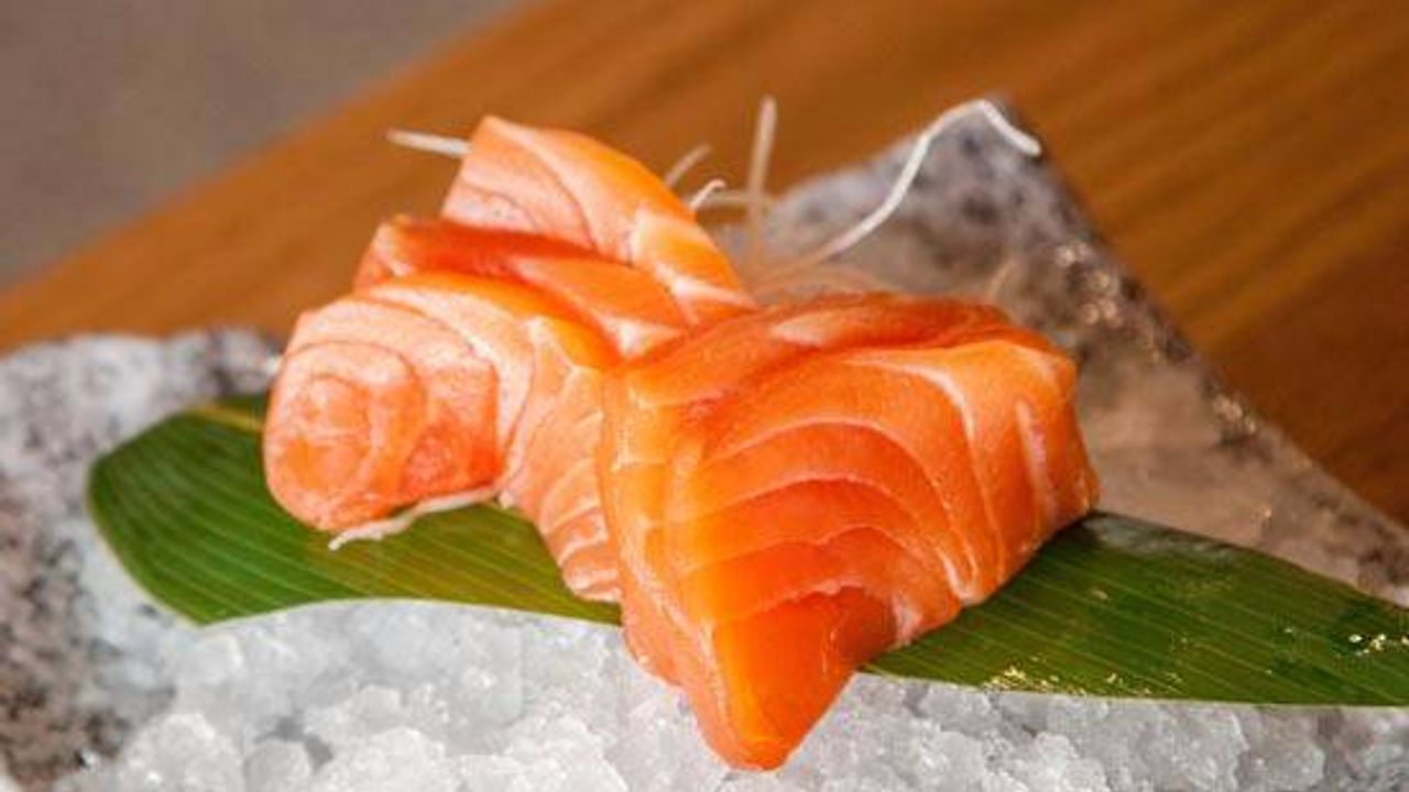 Salmon Sashimi