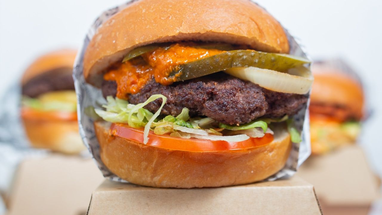 Mexican Burger