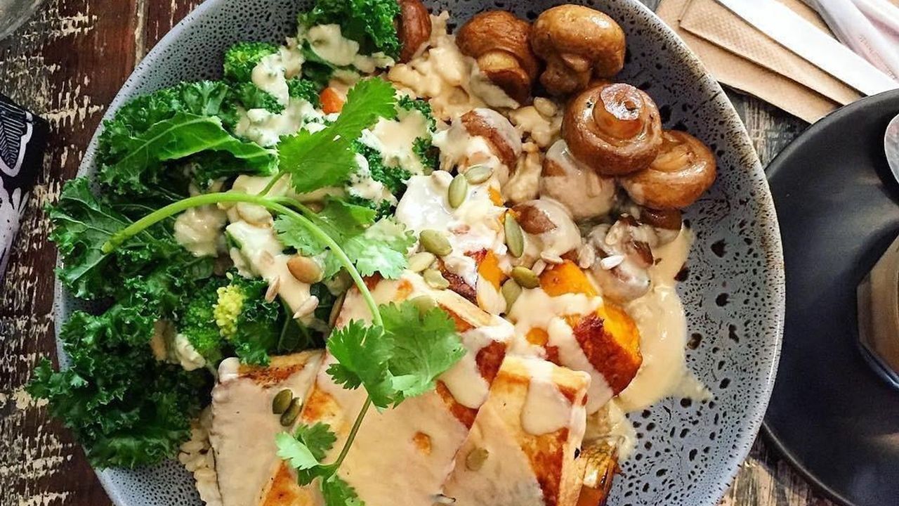 Yogi Bowl
