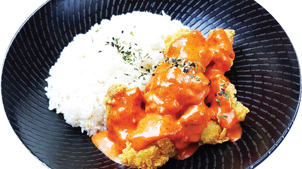 Butter Chicken and Rice