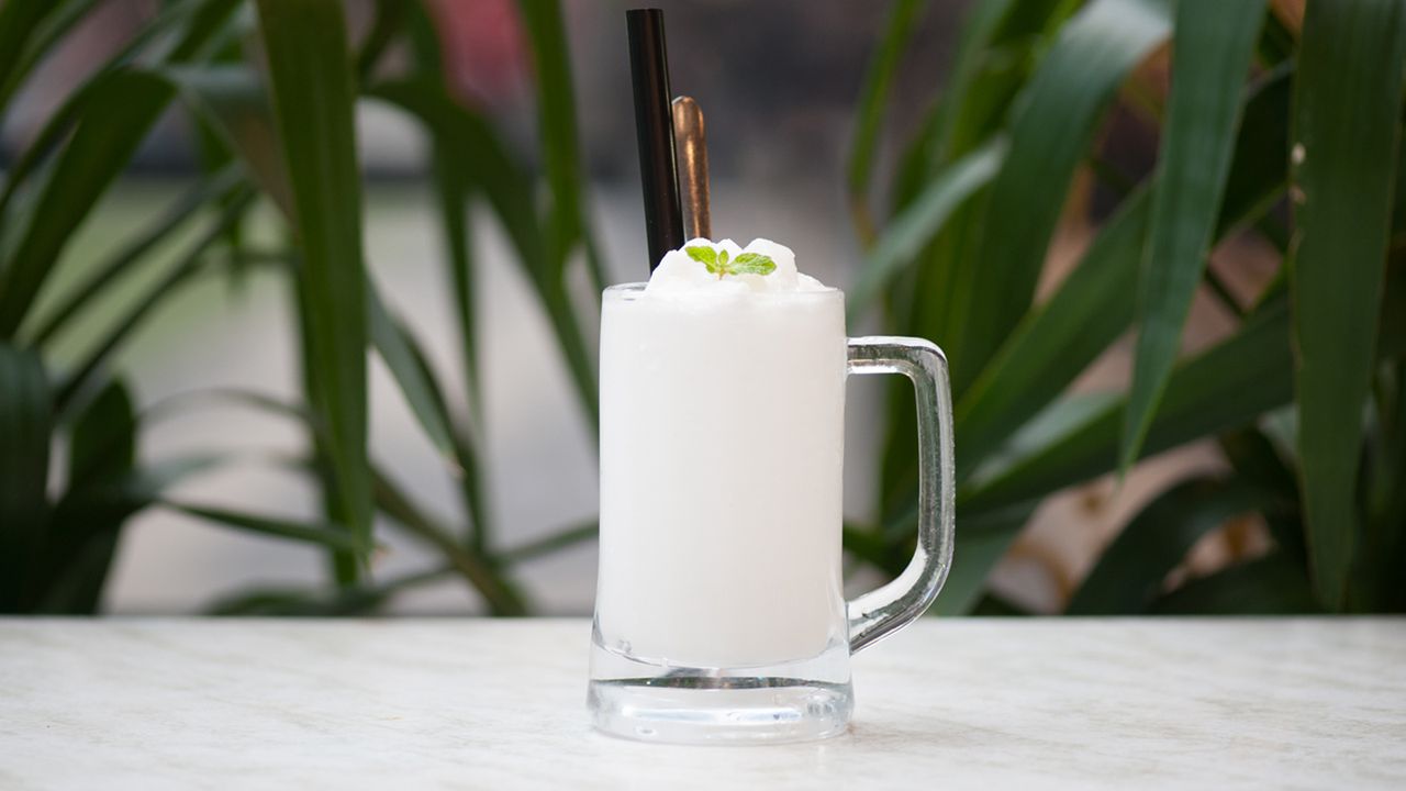 PD05 Coconut Paradise