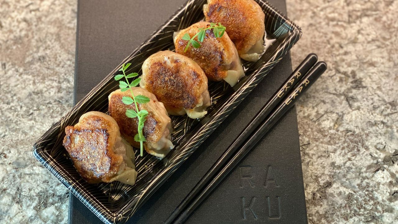 Wagyu Gyoza