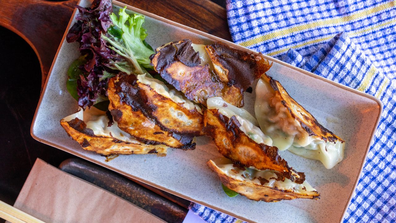 Pan Fried Pork Gyoza