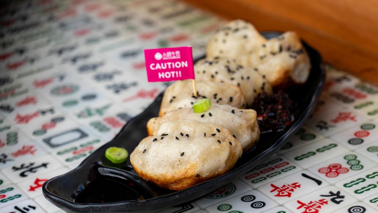 Crispy Bottom Pork Dumplings