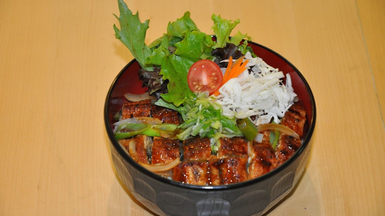 Unagi Don