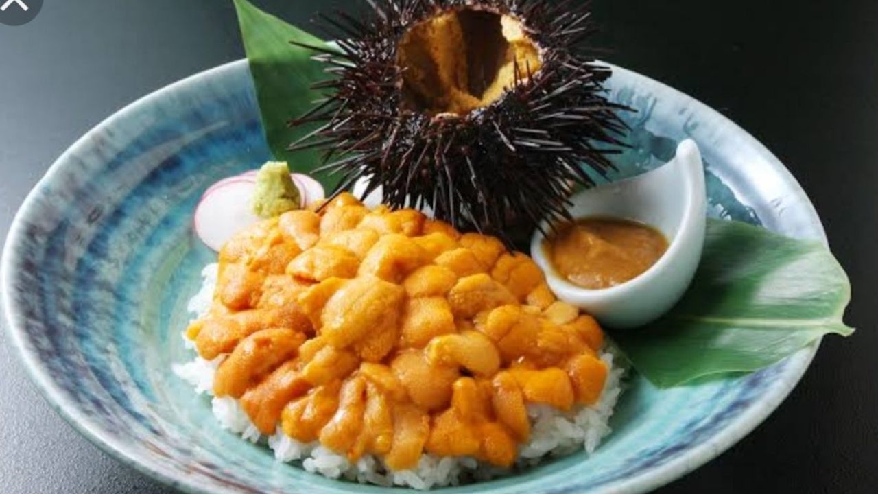 Premium Gold Sea Urchin Mini Chirashi Don