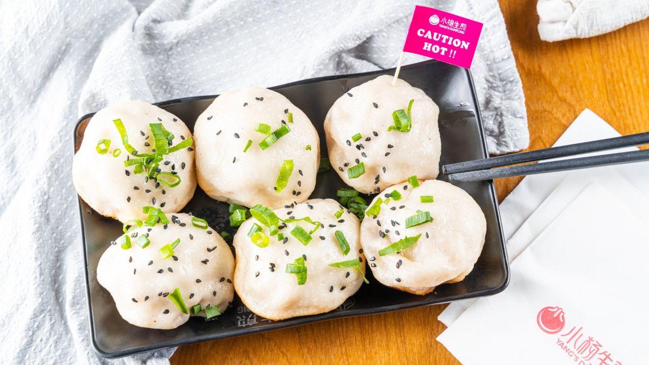 Pan Fried Pork Buns