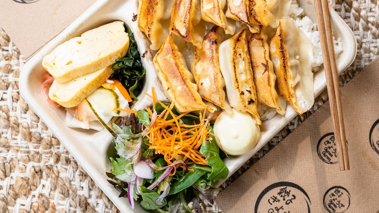 Gyoza Bento