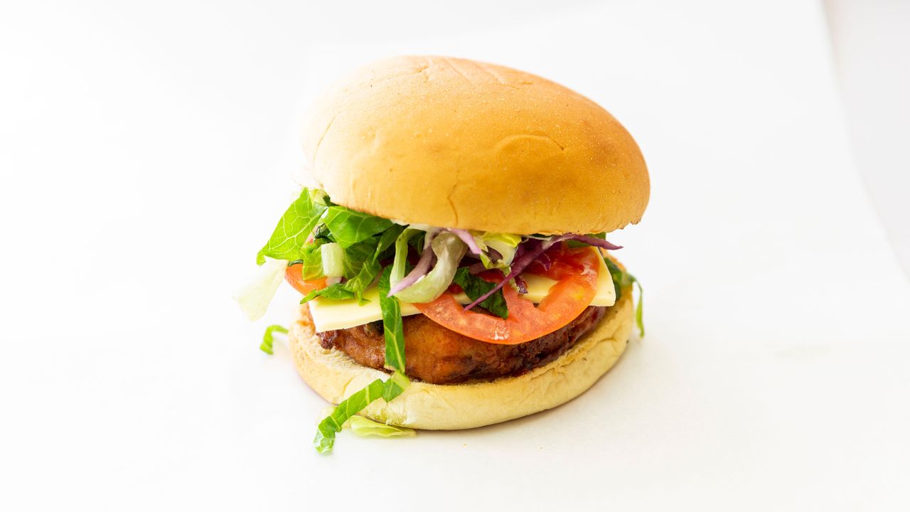 Plain Veggie Burger (V)