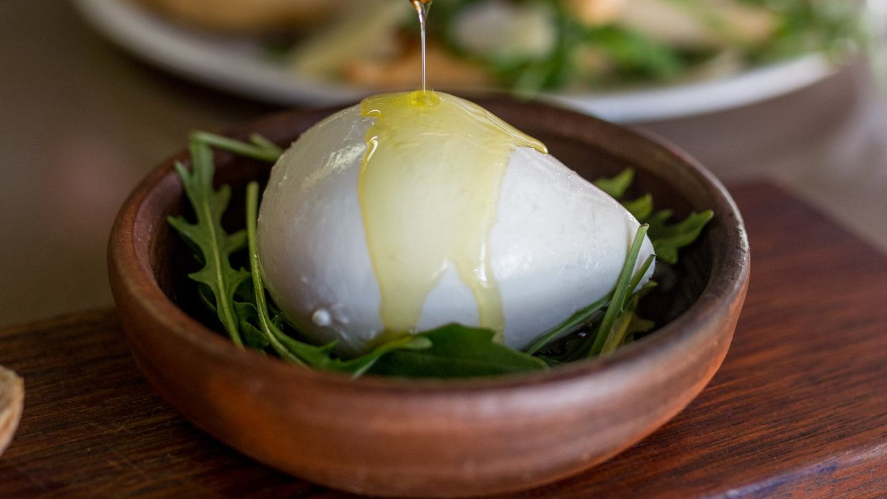 Buffalo Mozzarella D.O.P